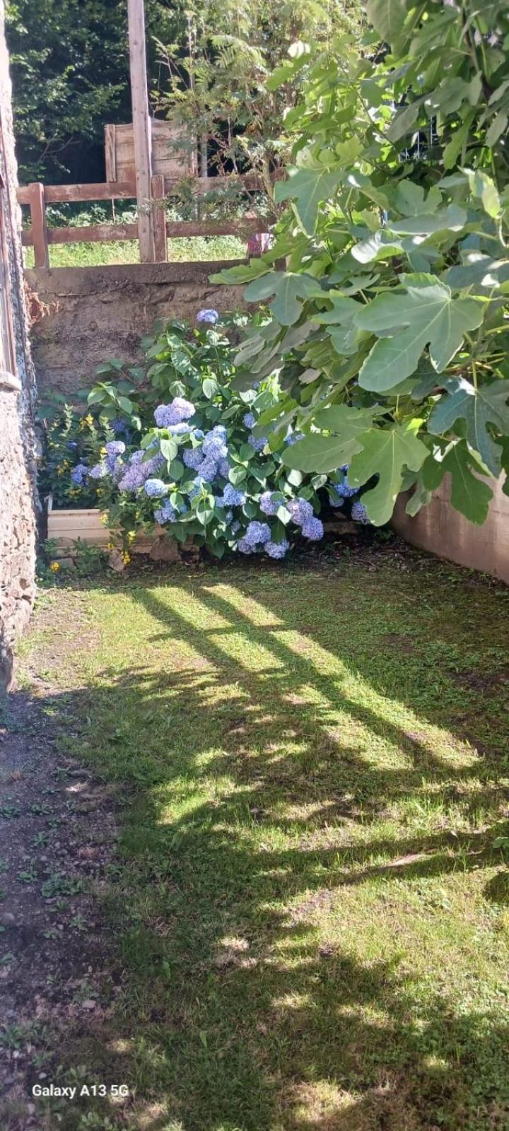 Casa Valentino Villa Corteno Golgi ภายนอก รูปภาพ